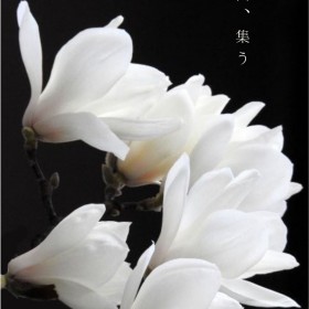 1000051087 1000051087-1